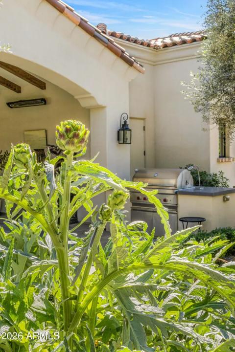 Real Estate Picture 25